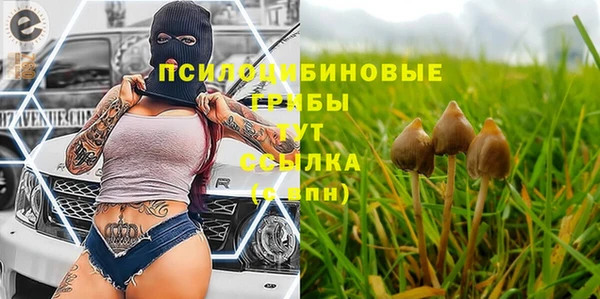 MDMA Беломорск
