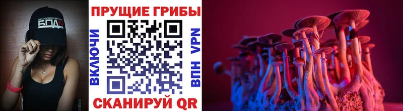 купить закладку  Шатура  Галлюциногенные грибы прущие грибы 